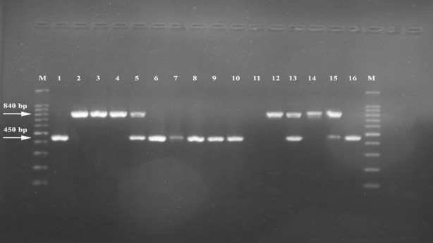 Fig.1