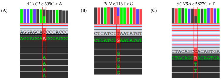 Figure 7