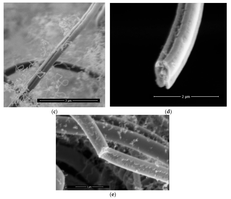 Figure 8