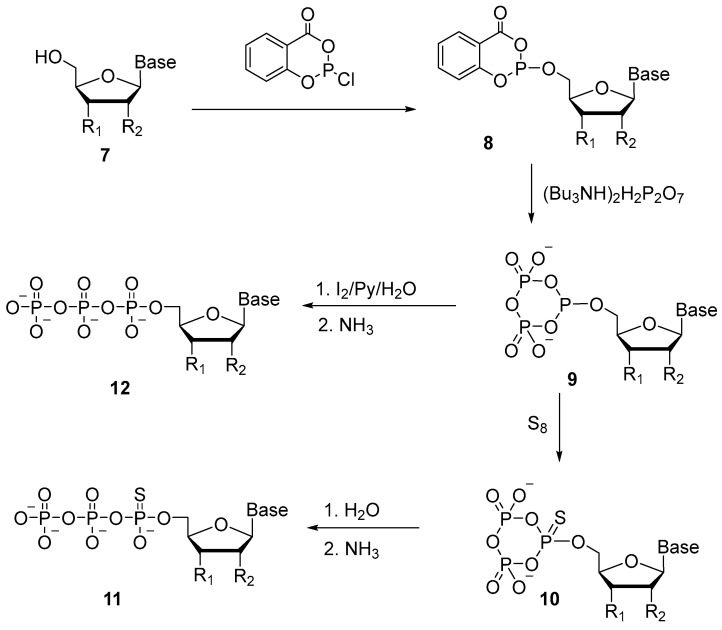 Figure 7