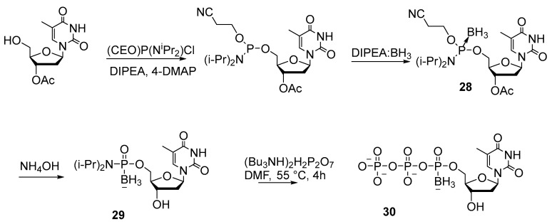 Figure 12