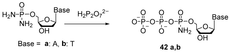 Figure 20