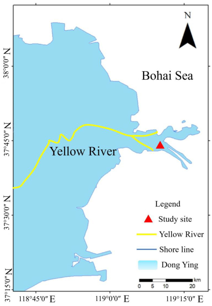 Figure 1