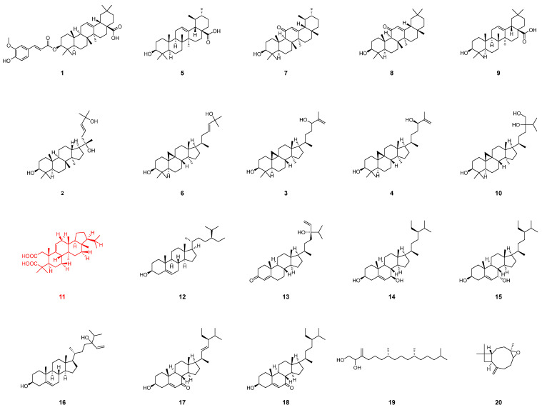 Figure 2