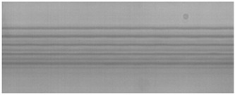 Figure 21
