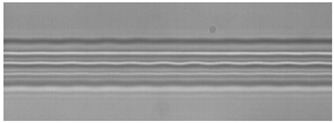 Figure 22