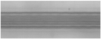 Figure 24