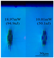 Figure 31