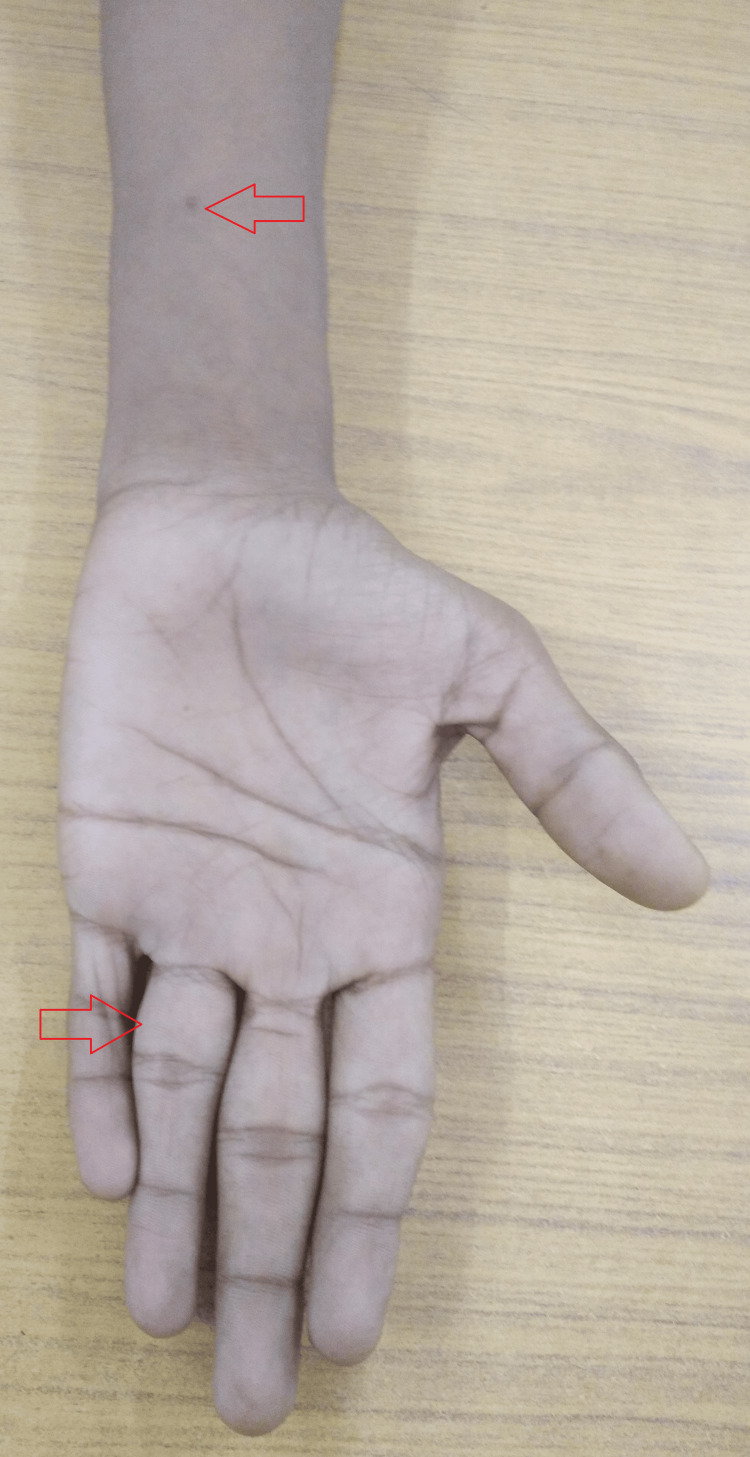 Figure 7