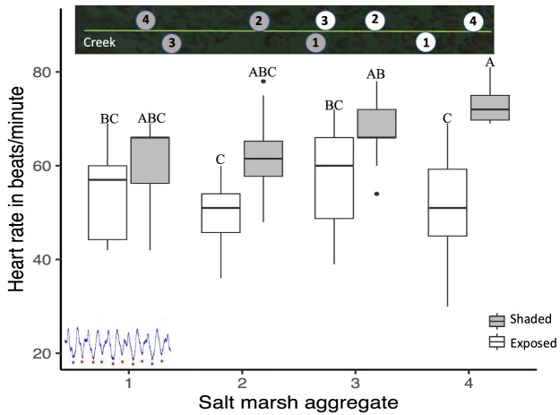 Fig. 7