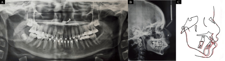 Figure 7