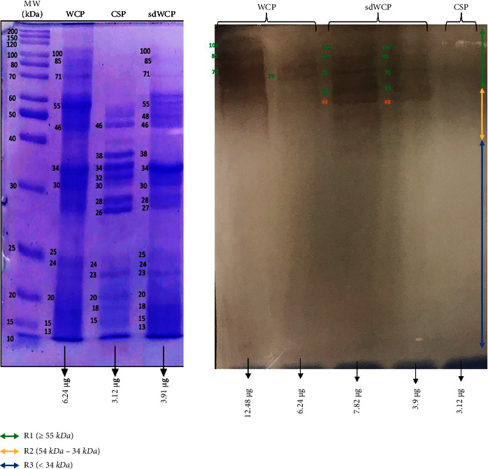 Figure 11