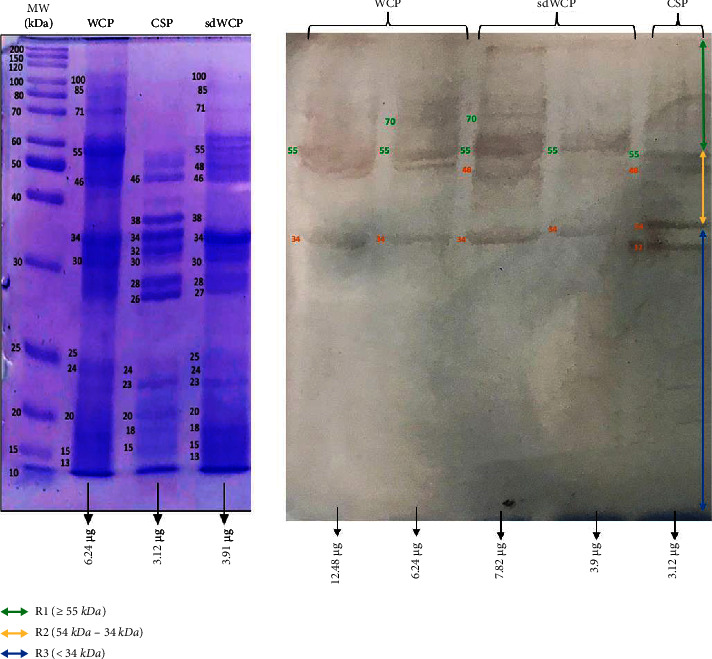 Figure 13
