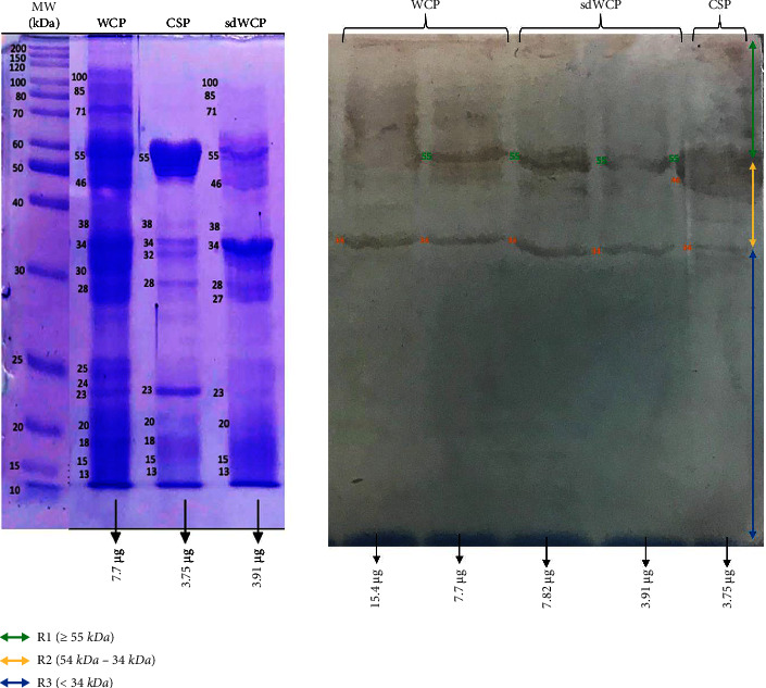 Figure 14