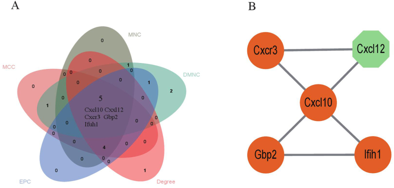 Figure 5