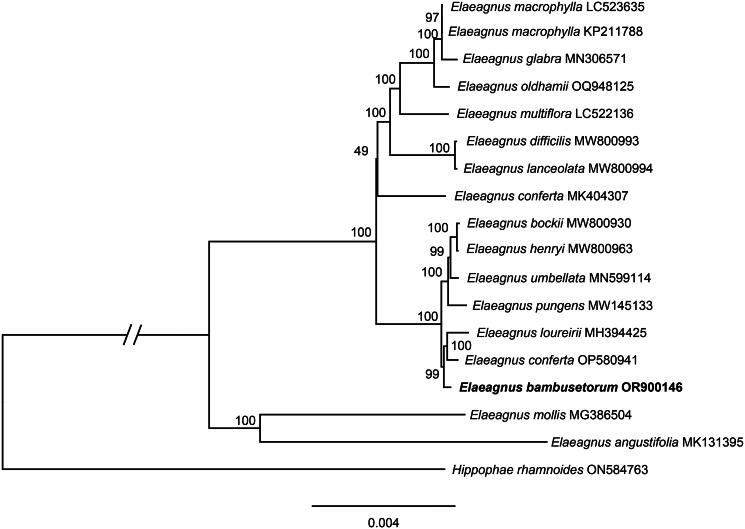 Figure 3