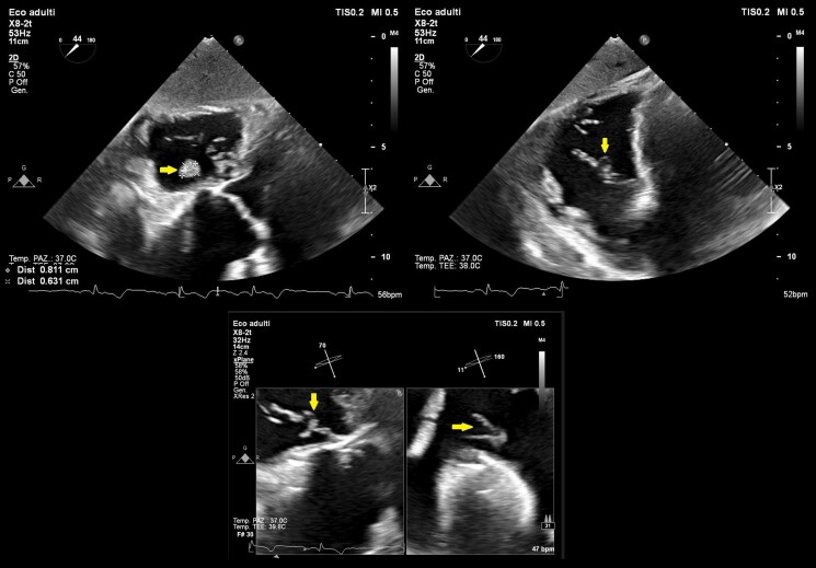 Figure 6
