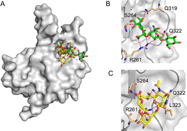 Figure 6