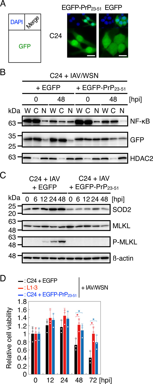 Fig 8