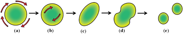Figure 11