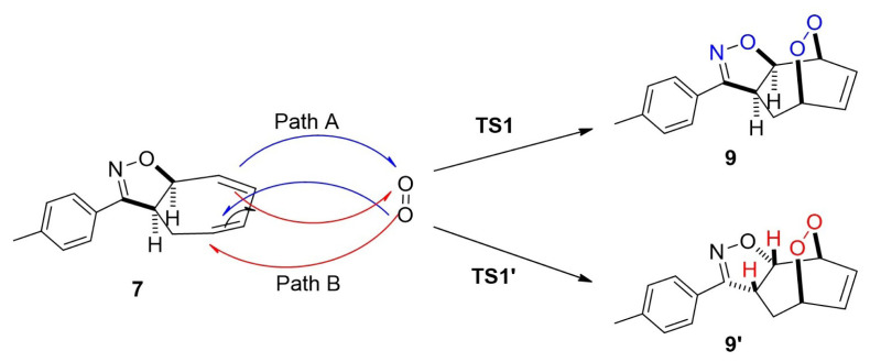 Figure 8