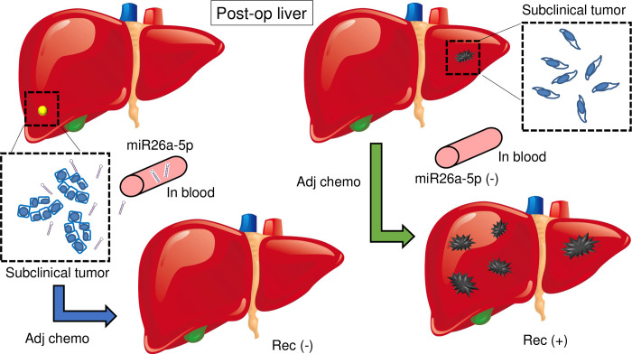 Fig 7