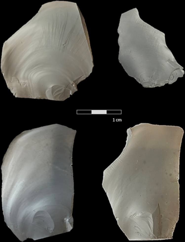 Fig 6