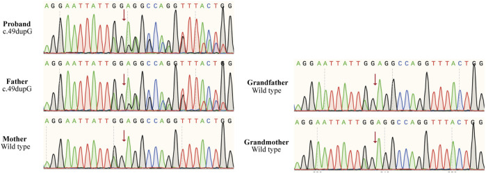 FIGURE 1