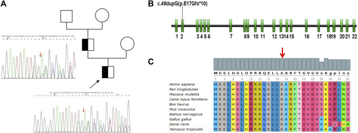FIGURE 2
