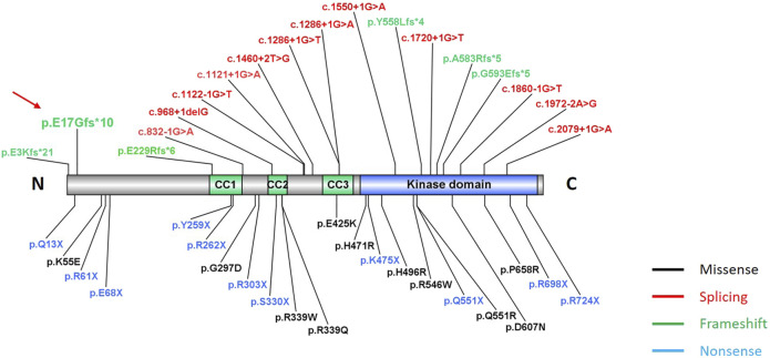 FIGURE 3