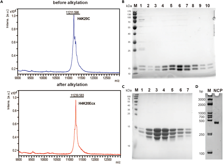 Figure 5
