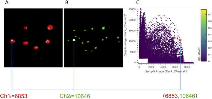 Figure 6
