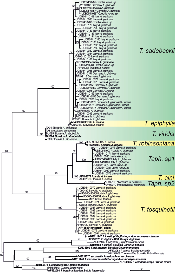 Figure 2