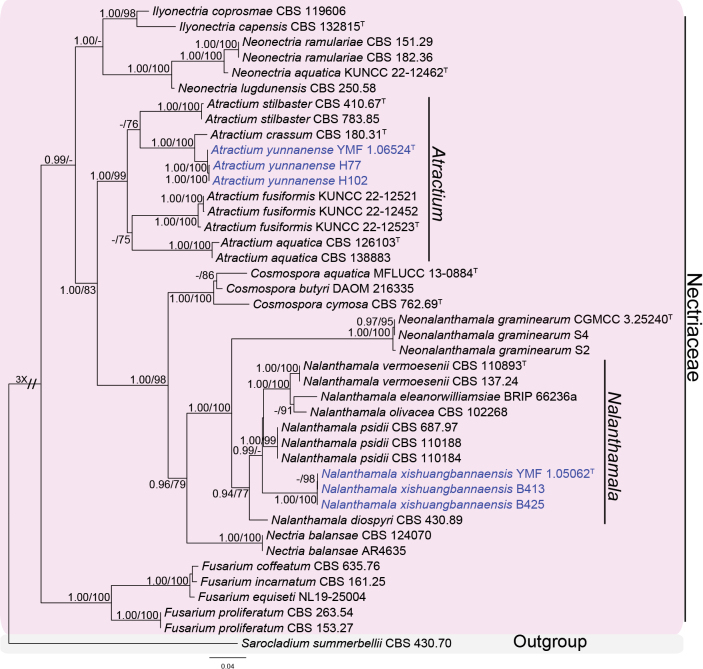 Figure 1