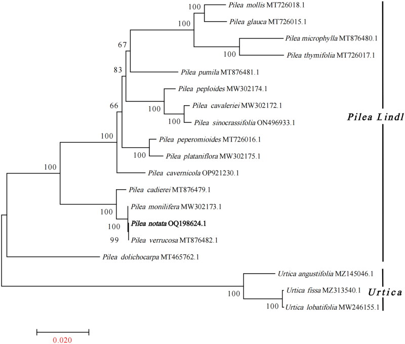 Figure 3