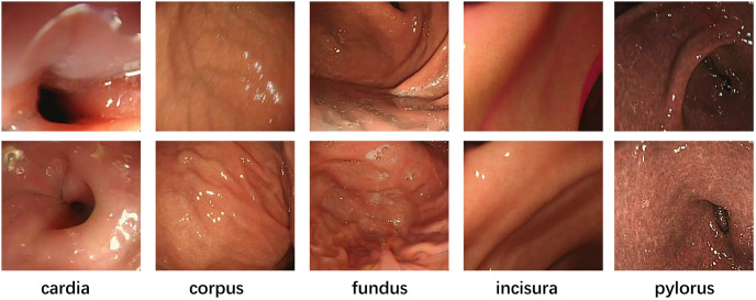 Figure 28