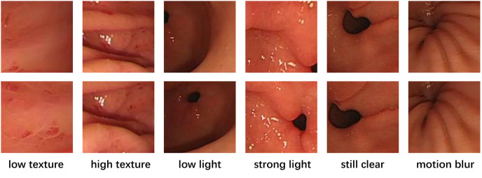 Figure 30
