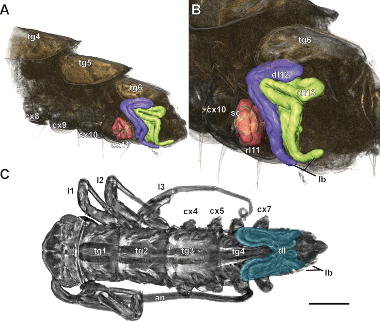 Figure 6