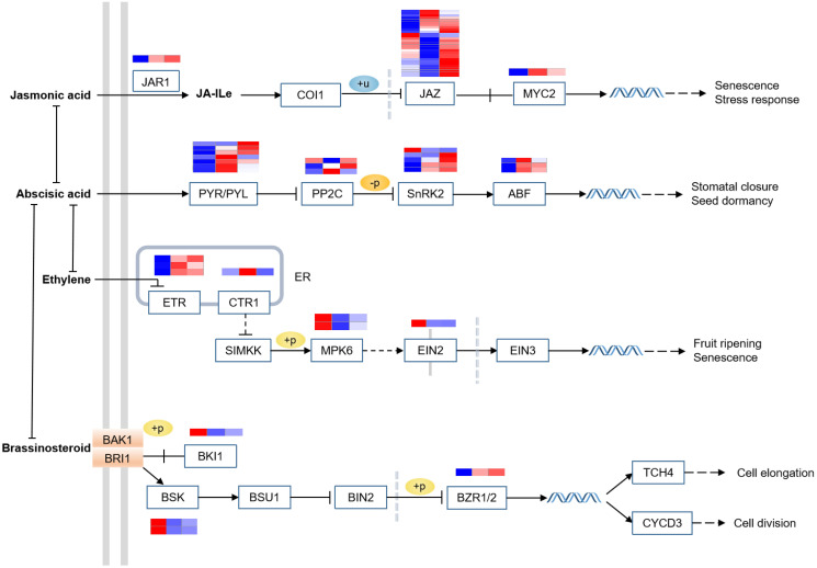 Fig 4