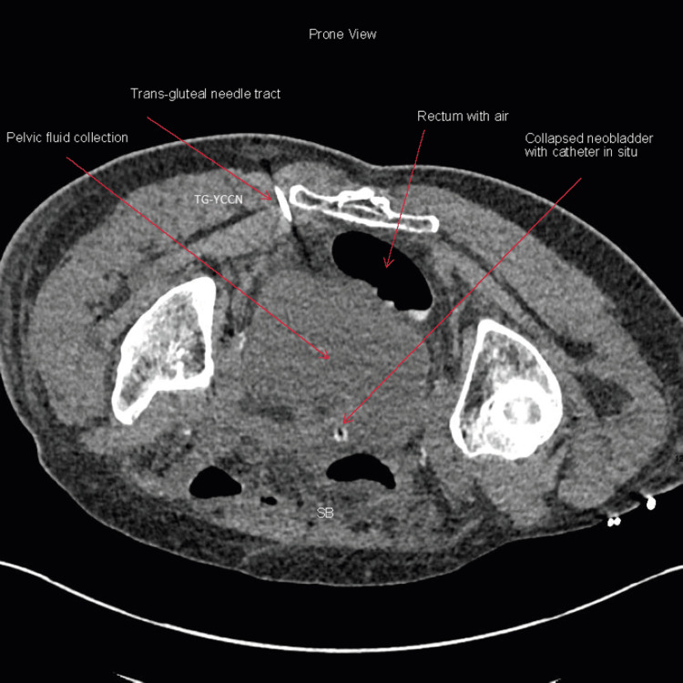 Figure 6