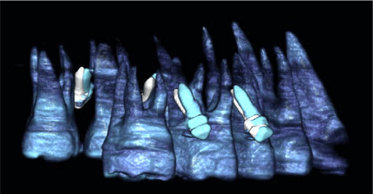 Figure 9