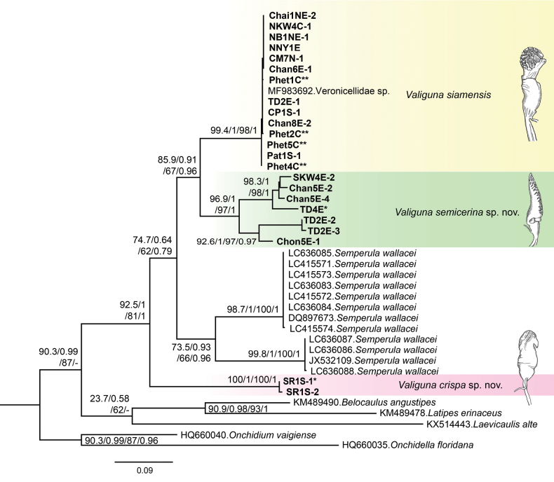 Figure 2