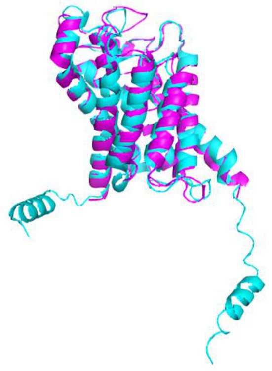 Figure 6