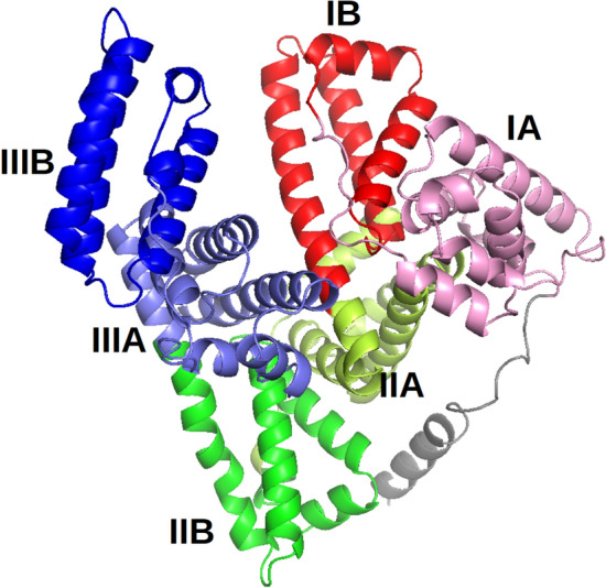 Figure 7