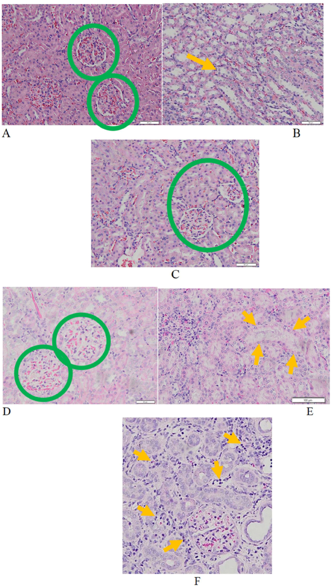 Figure 4