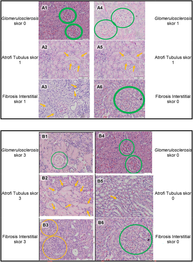 Figure 5