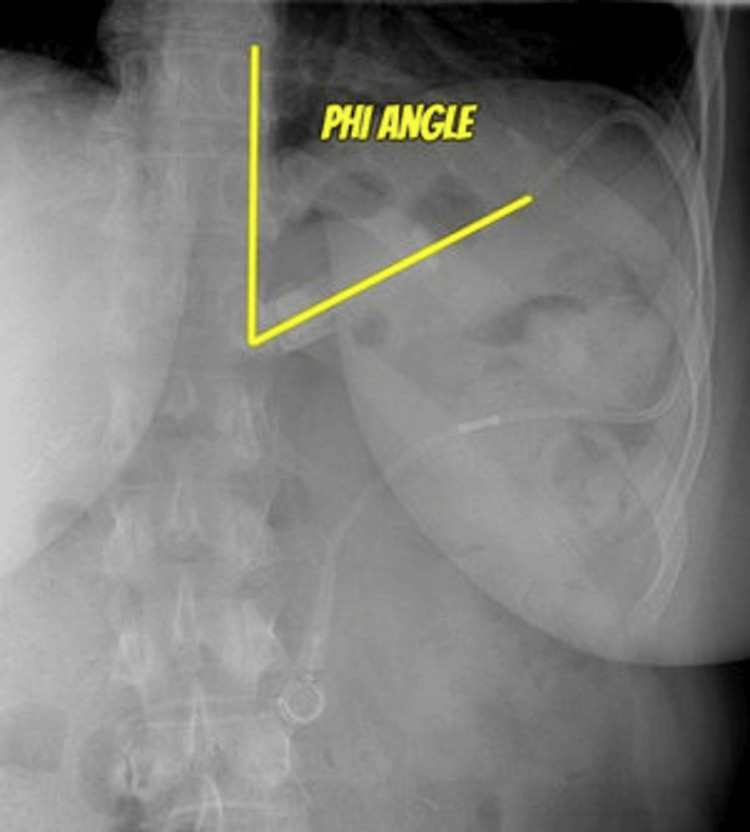 Figure 8