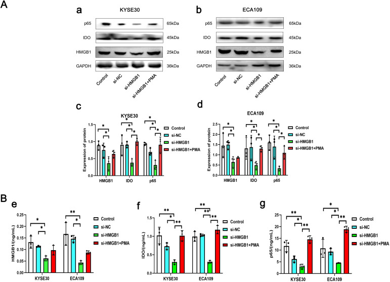 Figure 6