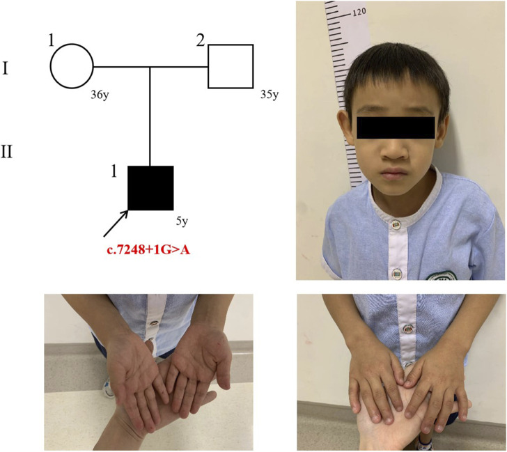 FIGURE 1