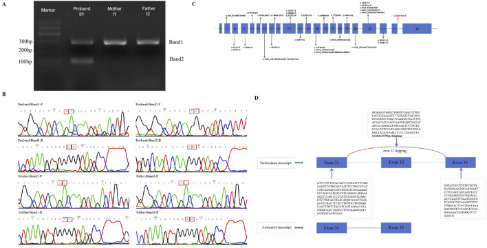 FIGURE 3